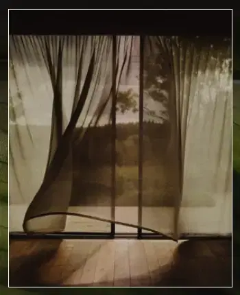 Forest lifestyle community