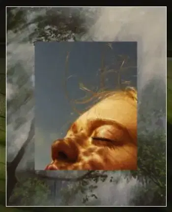 Forest lifestyle community